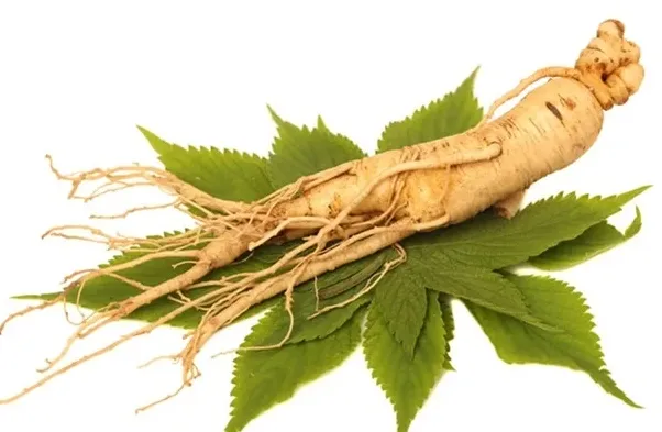 ginseng extract (2)