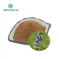 Ajuga Turkestanica ekstrè
