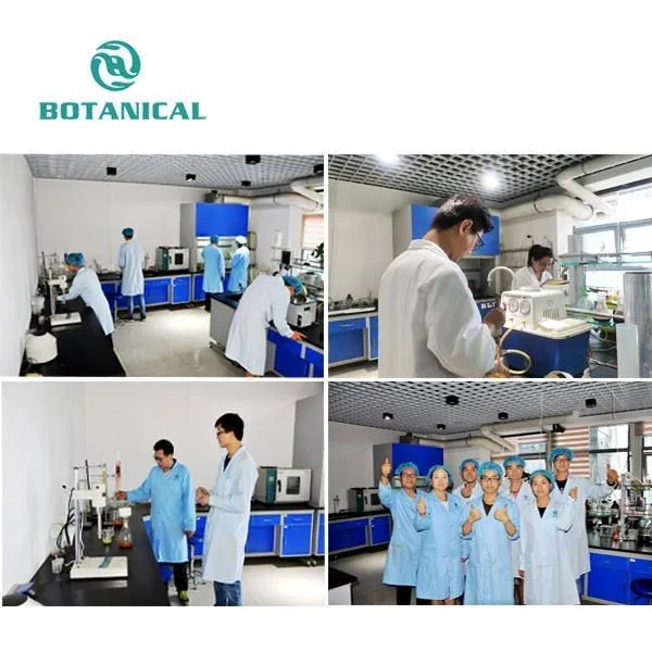 R&D department by Botanical Cube Inc.