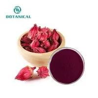 Ekstrè Hibiscus