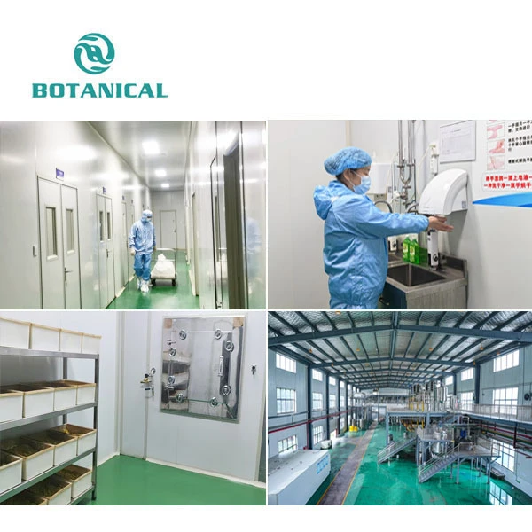 Sunflower Extract suppliers