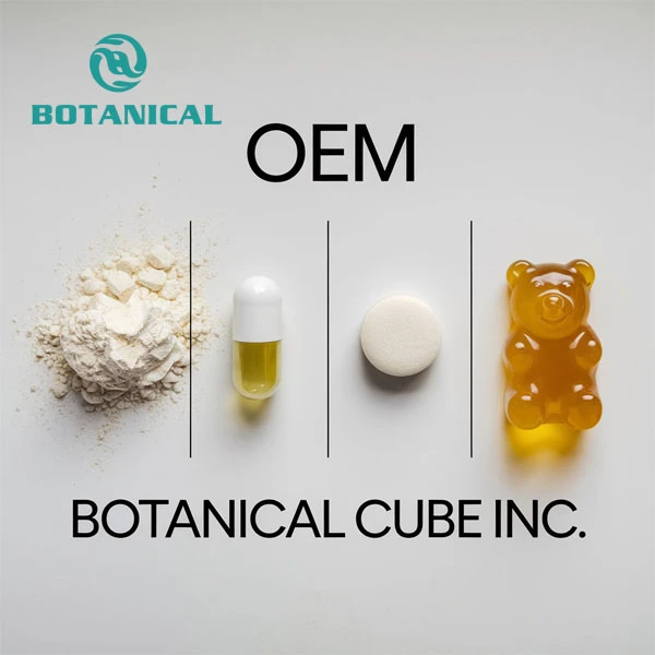 Sunflower Extract manufacturers