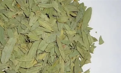 Ki sa ki ekstrè fèy Senna?