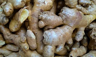 Ki sa Gingerol fè pou kò a?