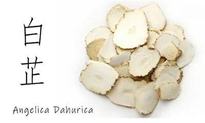 Ki sa Angelica Dahurica Rasin Powder fè pou po?