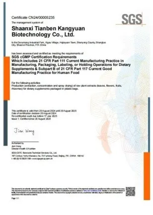 cGMP cGMP